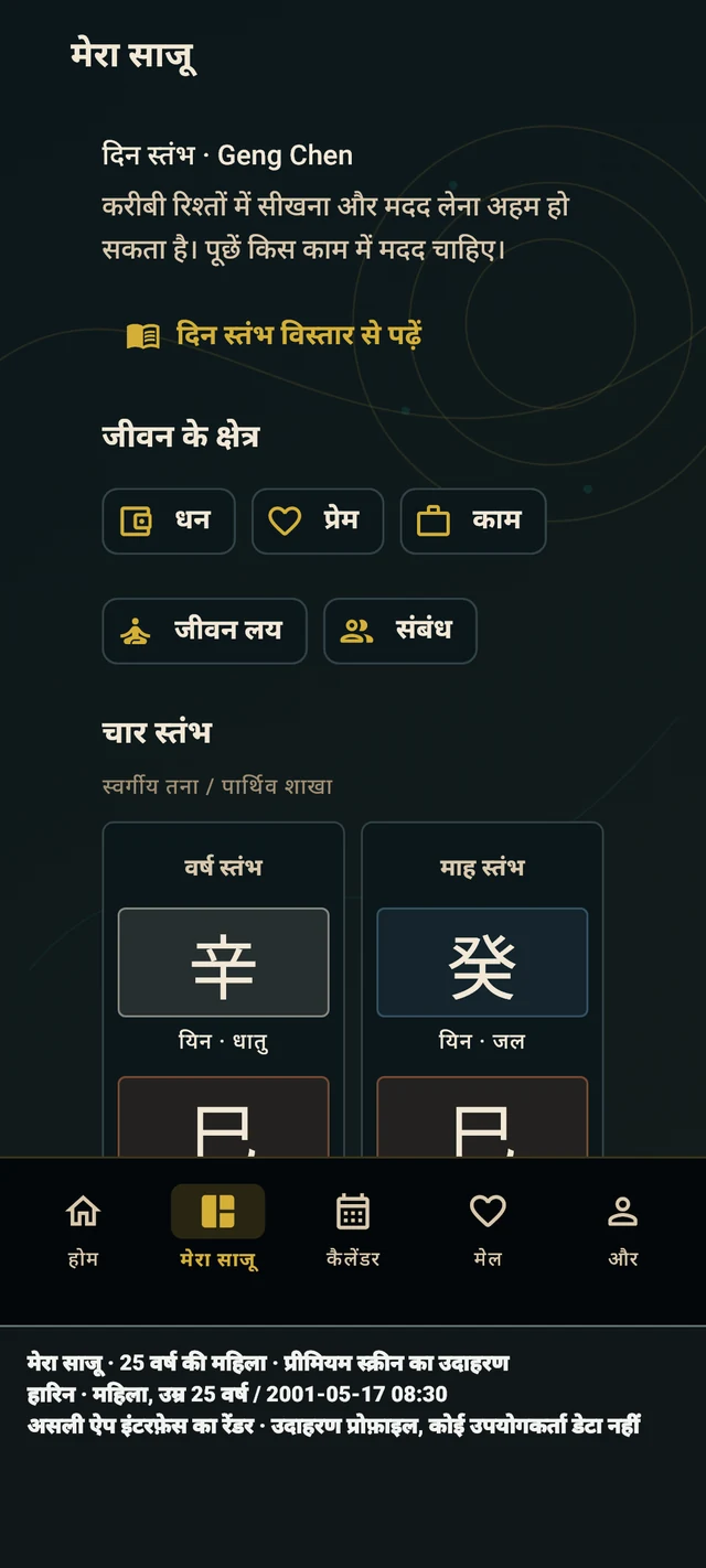 मेरा साजू — असली ऐप स्क्रीन · उदाहरण प्रोफ़ाइल